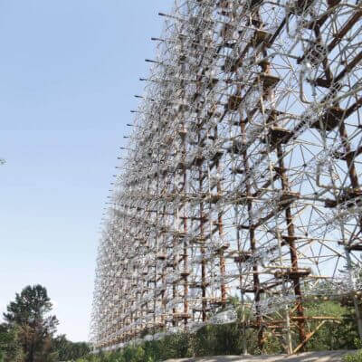 Woodpecker in chernobyl