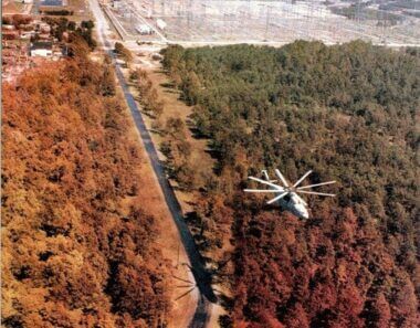 Red Forest in Chernobyl