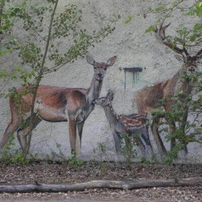 Pripyat Amusement Park 14